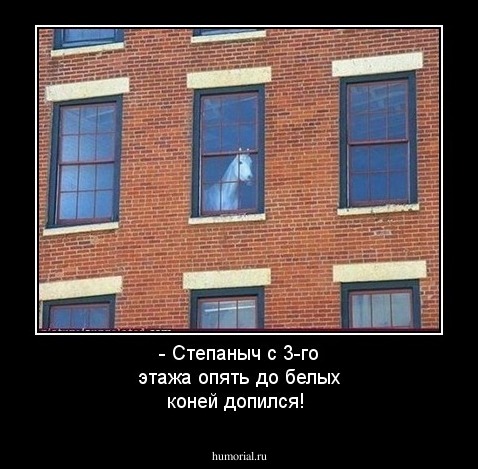 - Степаныч с 3-го этажа опять до белых коней допился!