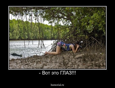 - Вот это ГЛАЗ!!!