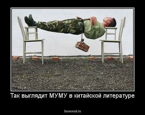 Так выглядит МУМУ в китайской литературе