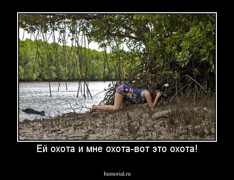 Ей охота и мне охота-вот это охота!