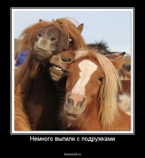 Немного выпили с подружками