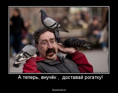   А теперь, внучёк ,  доставай рогатку!