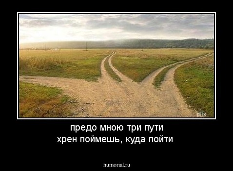 предо мною три пути
хрен поймешь, куда пойти
