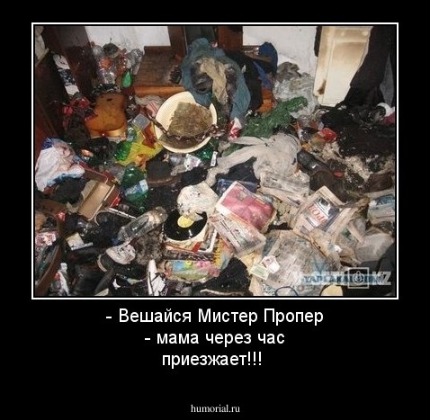 - Вешайся Мистер Пропер - мама через час приезжает!!!