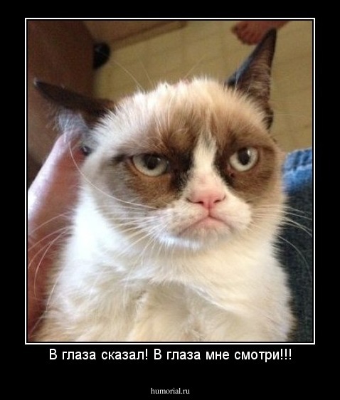 В глаза сказал! В глаза мне смотри!!!