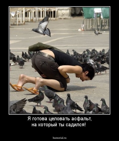 Я готова целовать асфальт, на который ты садился!
