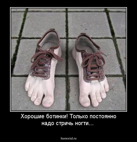 Хорошие ботинки!  Только постоянно надо стричь ногти...