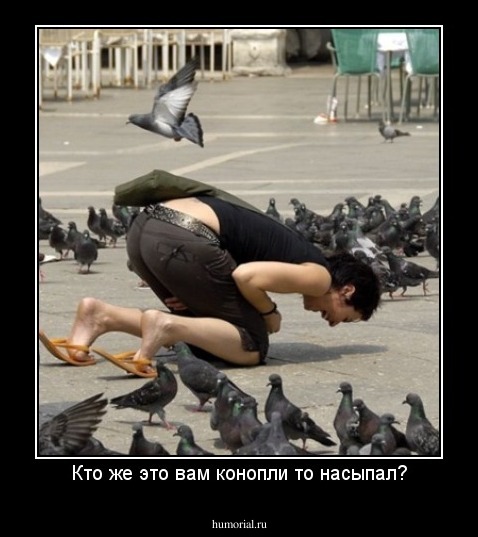 Кто же это вам конопли то насыпал?