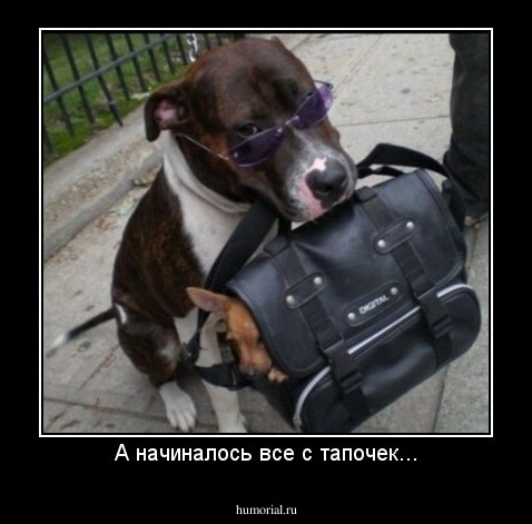 А начиналось все с тапочек...