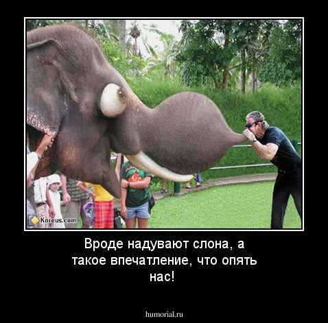 Вроде надувают слона, а такое впечатление, что опять нас!