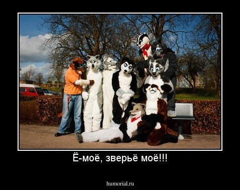 Ё-моё, зверьё моё!!!