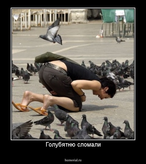 Голубятню сломали