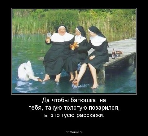 Да чтобы батюшка, на тебя, такую толстую позарился, ты это гусю расскажи.