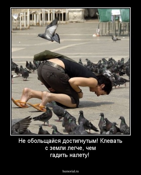 Не обольщайся достигнутым! Клевать с земли легче, чем гадить налету!