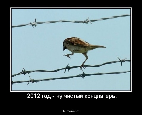  2012 год - ну чистый концлагерь.