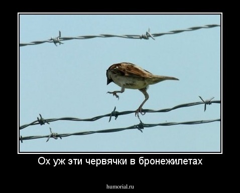 Ох уж эти червячки в бронежилетах