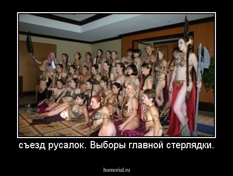 съезд русалок. Выборы главной стерлядки.