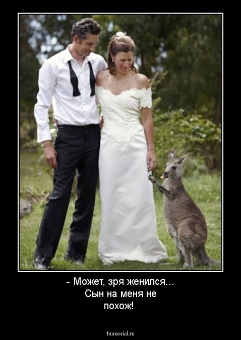 - Может, зря женился... Сын на меня не  похож!