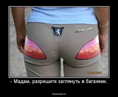 - Мадам, разрешите заглянуть в багажник.