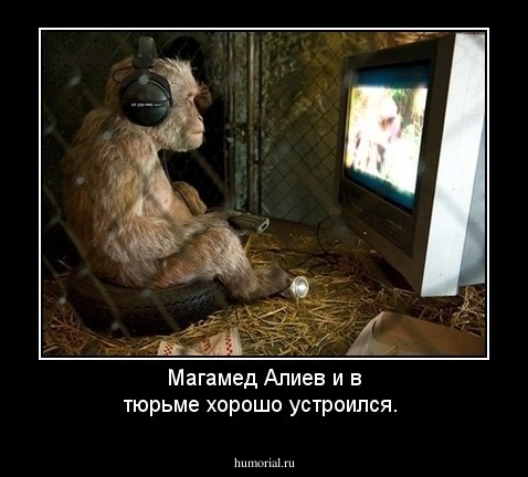Магамед Алиев и в тюрьме хорошо устроился.