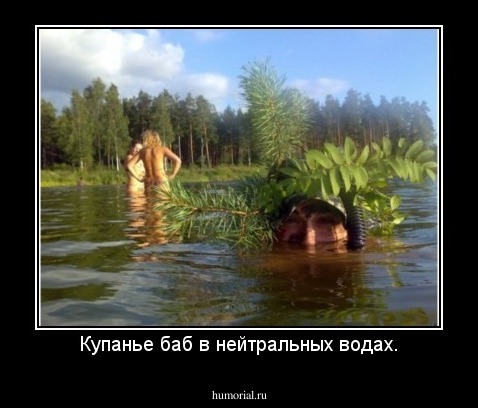 Купанье баб в нейтральных водах.