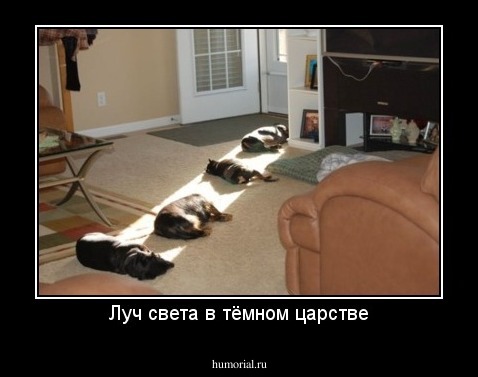Луч света в тёмном царстве