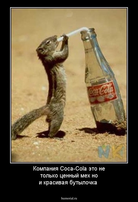 Компания Coca-Cola это не только ценный мех но и красивая бутылочка