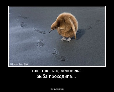так, так,  так, человека- рыба проходила...