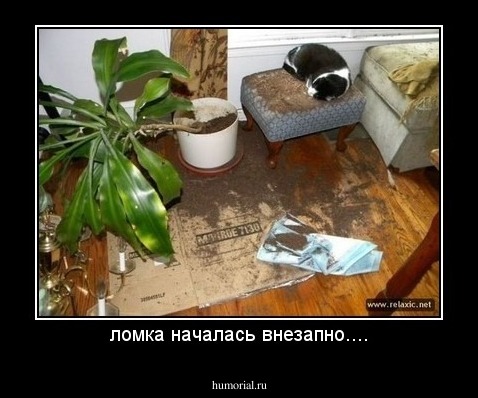 ломка началась внезапно....