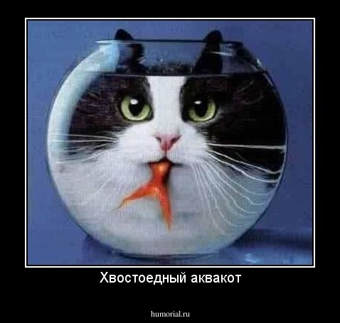 Хвостоедный аквакот