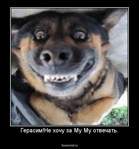 Герасим!Не хочу за Му Му отвечать.