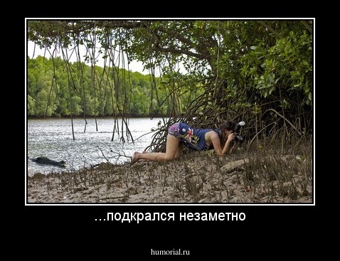 ...подкрался незаметно