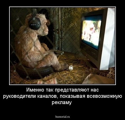 Именно так представляют нас руководители каналов, показывая всевозможную рекламу