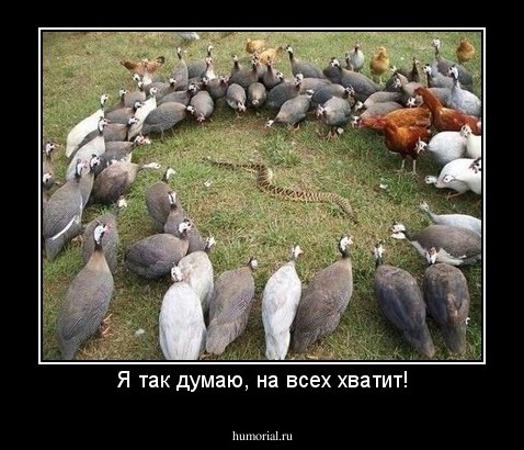 Я так думаю, на всех хватит!