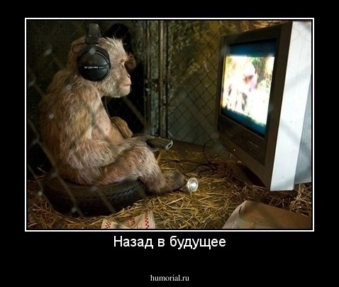 Назад в будущее