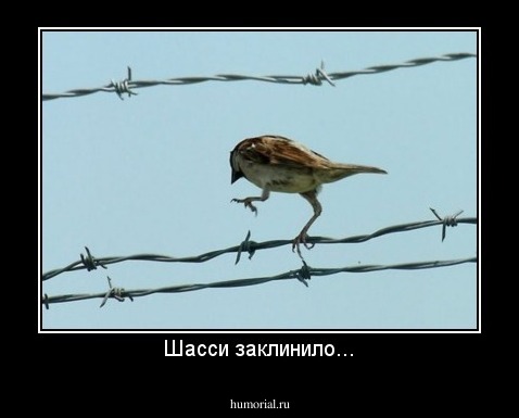 Шасси заклинило...