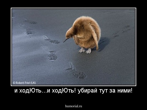 и ходЮть...и ходЮть! убирай тут за ними!