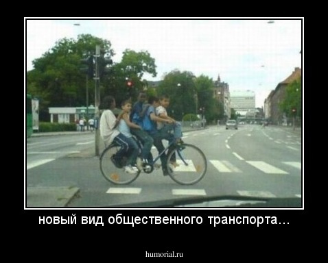 новый вид общественного транспорта...