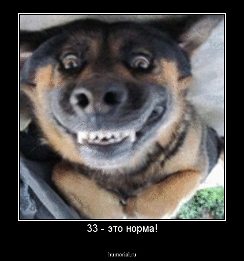 33 - это норма!