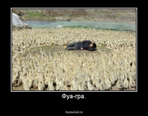 Фуа-гра.