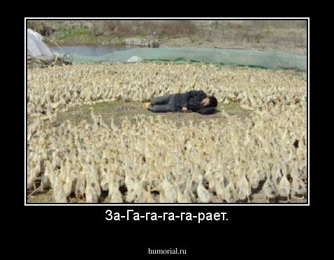 За-Га-га-га-га-рает.