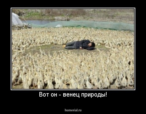 Вот он - венец природы!