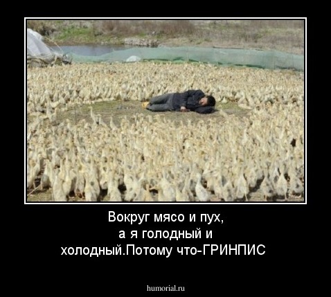 Вокруг мясо и пух, а я голодный и холодный.Потому что-ГРИНПИС