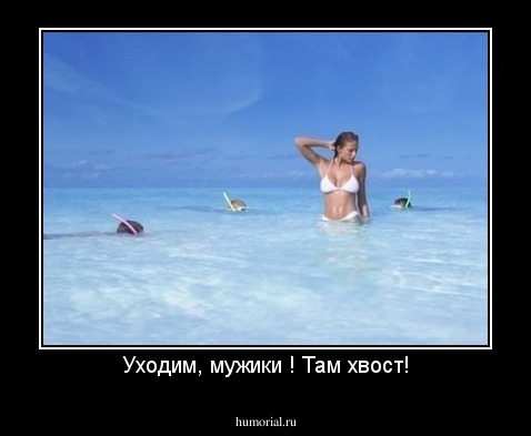 Уходим, мужики ! Там хвост!