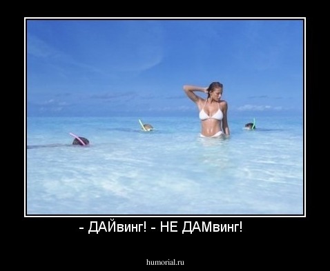 - ДАЙвинг! - НЕ ДАМвинг!  