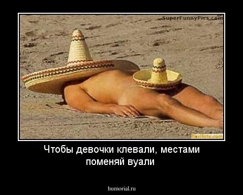 Чтобы девочки клевали, местами поменяй вуали