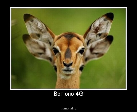 Вот оно 4G