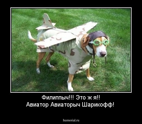 Филиппыч!!! Это ж я!! Авиатор Авиаторыч Шарикофф!