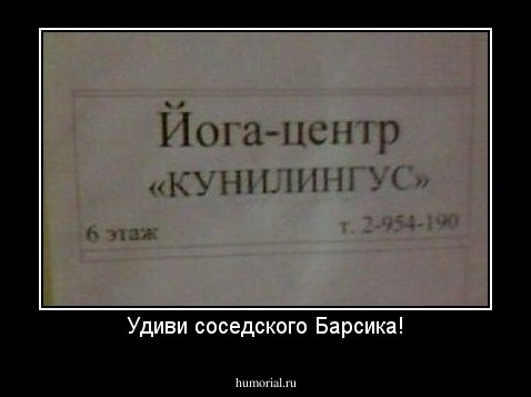 Удиви соседского Барсика!