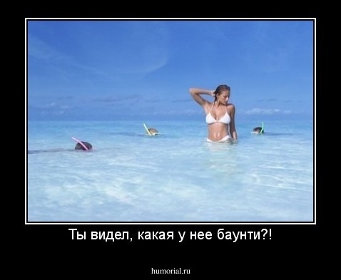 Ты видел, какая у нее баунти?!